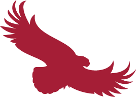 Saint Joseph's University hawk shadow in red